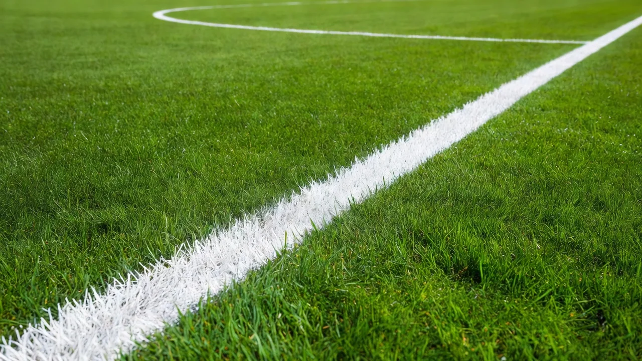 White chalk touchline freshly painted on vivid green grass